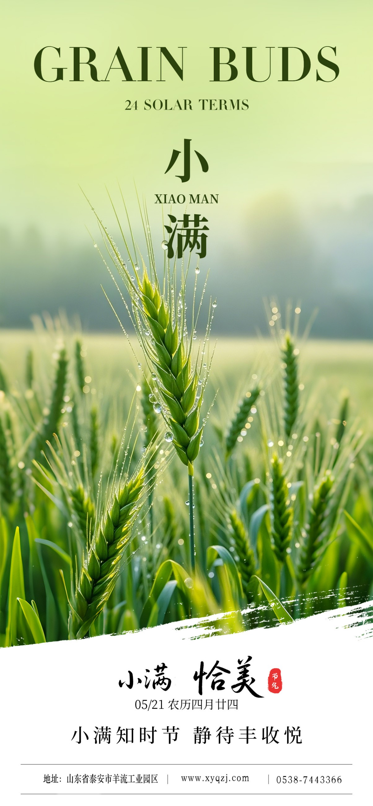 圖片關鍵詞